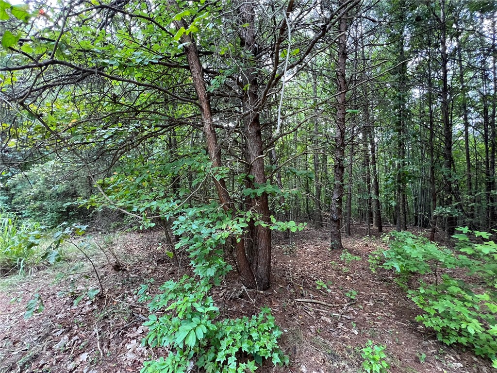 0 Rock Hill Road Fair Play, SC 29643 - Photo 9 of 17