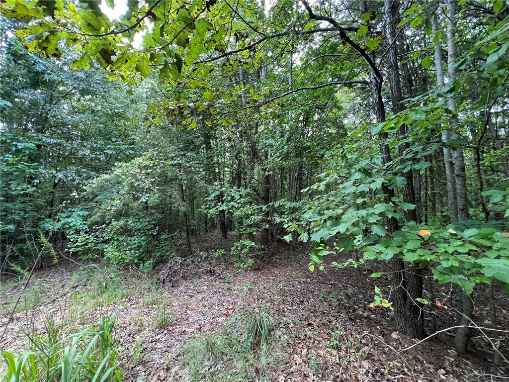 0 Rock Hill Road Fair Play, SC 29643 - Photo 10 of 17