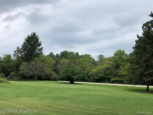 11249 Buno Road Brighton, MI 48114 - Photo 44 of 56 JU50.jpg