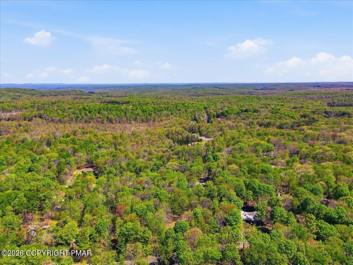 123 Lake In The Clouds Road Canadensis, PA 18325 - Photo 17 of 54 Overhead View