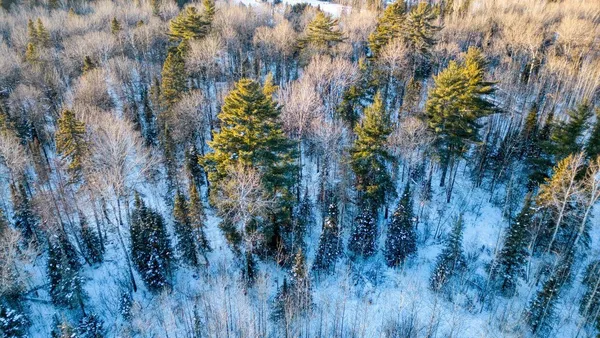 $29,900 | Tbd South Avenue, Aurora, MN 55705