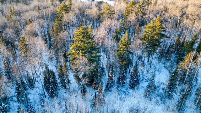 $29,900 | Tbd South Avenue, Aurora, MN 55705