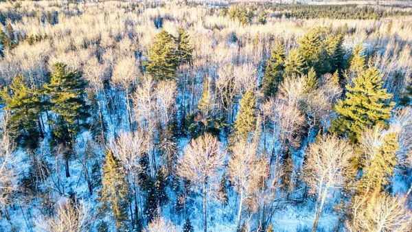 $29,900 | Tbd South Avenue, Aurora, MN 55705