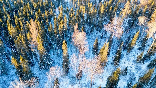 $29,900 | Tbd South Avenue, Aurora, MN 55705