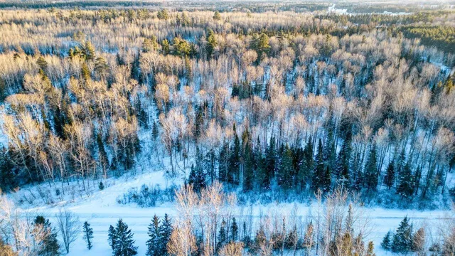 $29,900 | Tbd South Avenue, Aurora, MN 55705