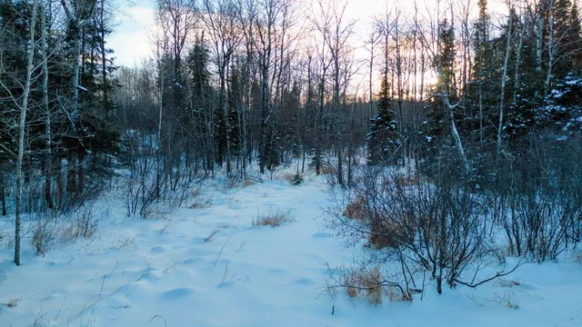 $29,900 | Tbd South Avenue, Aurora, MN 55705