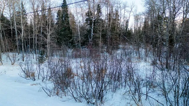 $29,900 | Tbd South Avenue, Aurora, MN 55705