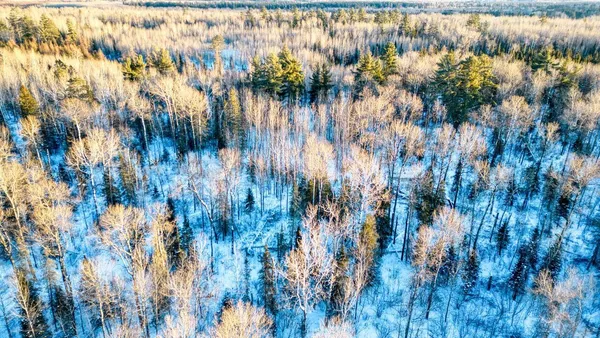 $29,900 | Tbd South Avenue, Aurora, MN 55705