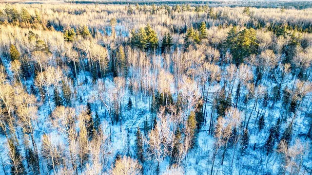 $29,900 | Tbd South Avenue, Aurora, MN 55705