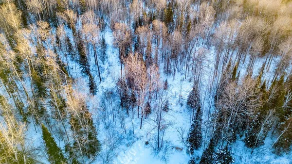 $29,900 | Tbd South Avenue, Aurora, MN 55705