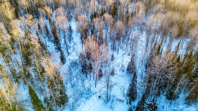 $29,900 | Tbd South Avenue, Aurora, MN 55705