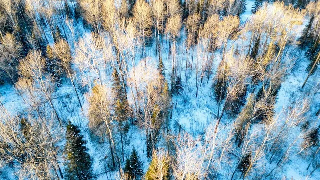 $29,900 | Tbd South Avenue, Aurora, MN 55705