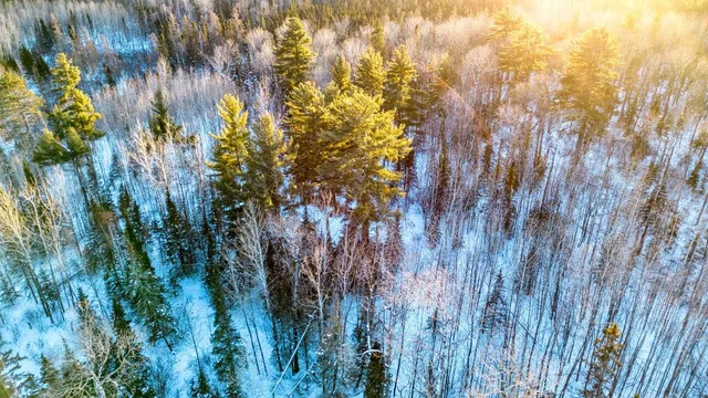 $29,900 | Tbd South Avenue, Aurora, MN 55705