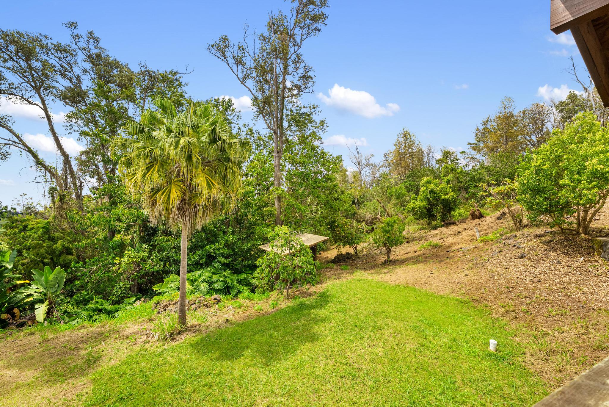 89-811 Huanui Road Captain Cook, HI 96704 - Photo 16 of 30 a view of a yard with a tree