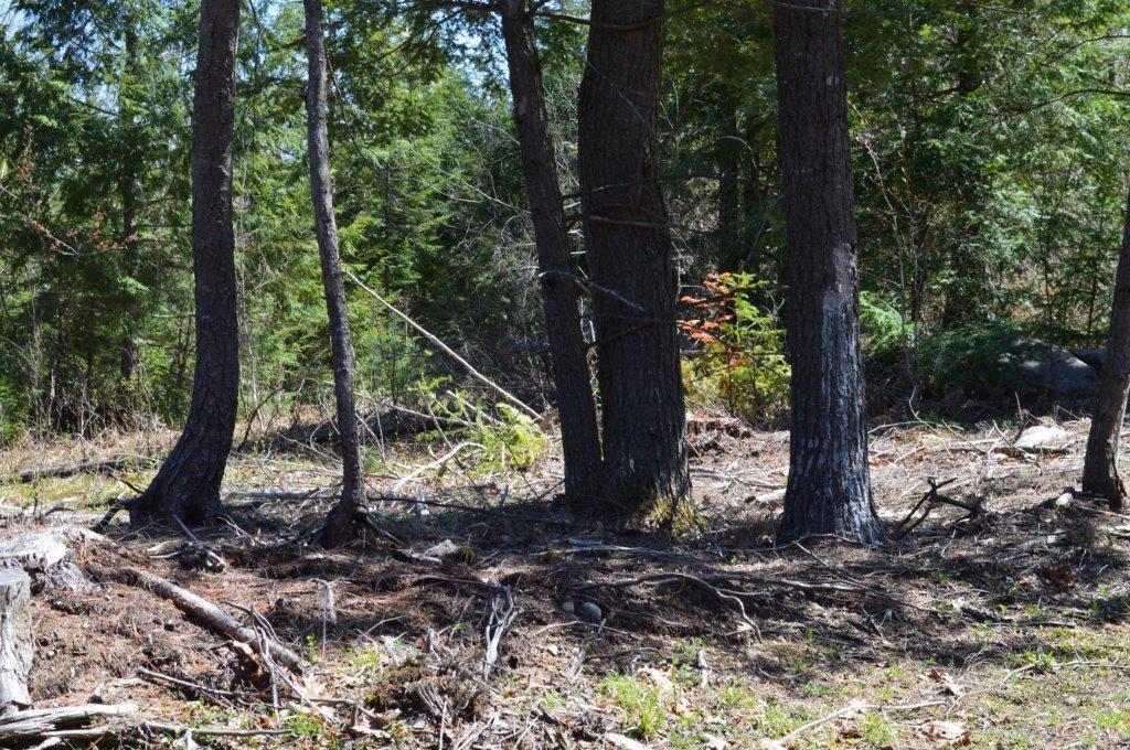 205 Academy Road Monmouth, ME 04259 - Photo 12 of 16 DSC_0044