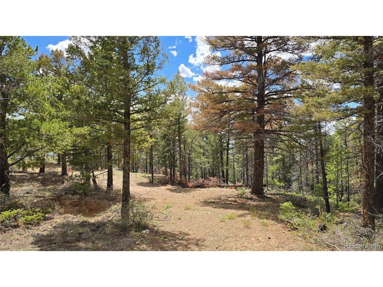 5825 Covington Road San Luis, CO 81152 - Photo 4 of 21 Gallery Image 4