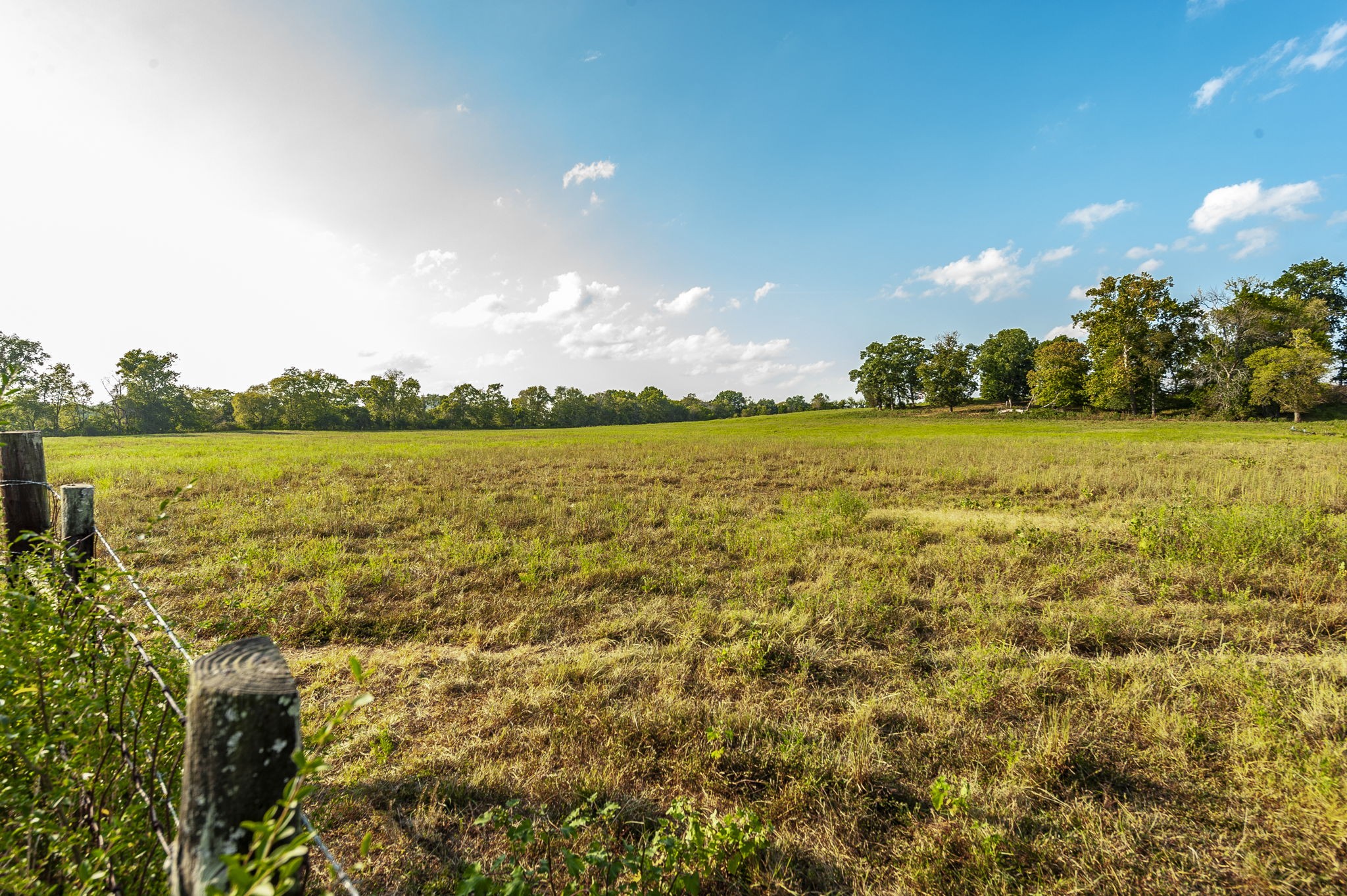 724 Deshea Creek Road Gallatin, TN 37066 - Photo 11 of 76