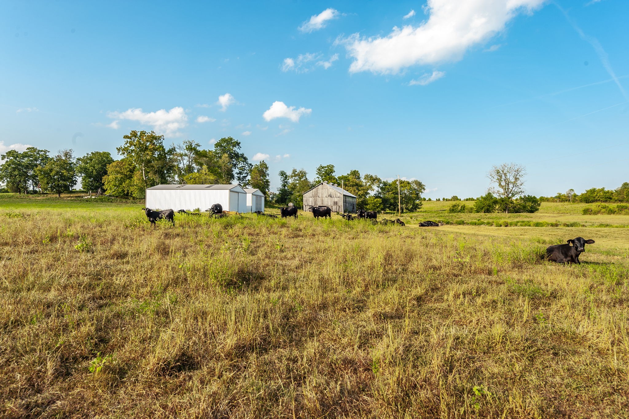724 Deshea Creek Road Gallatin, TN 37066 - Photo 75 of 76