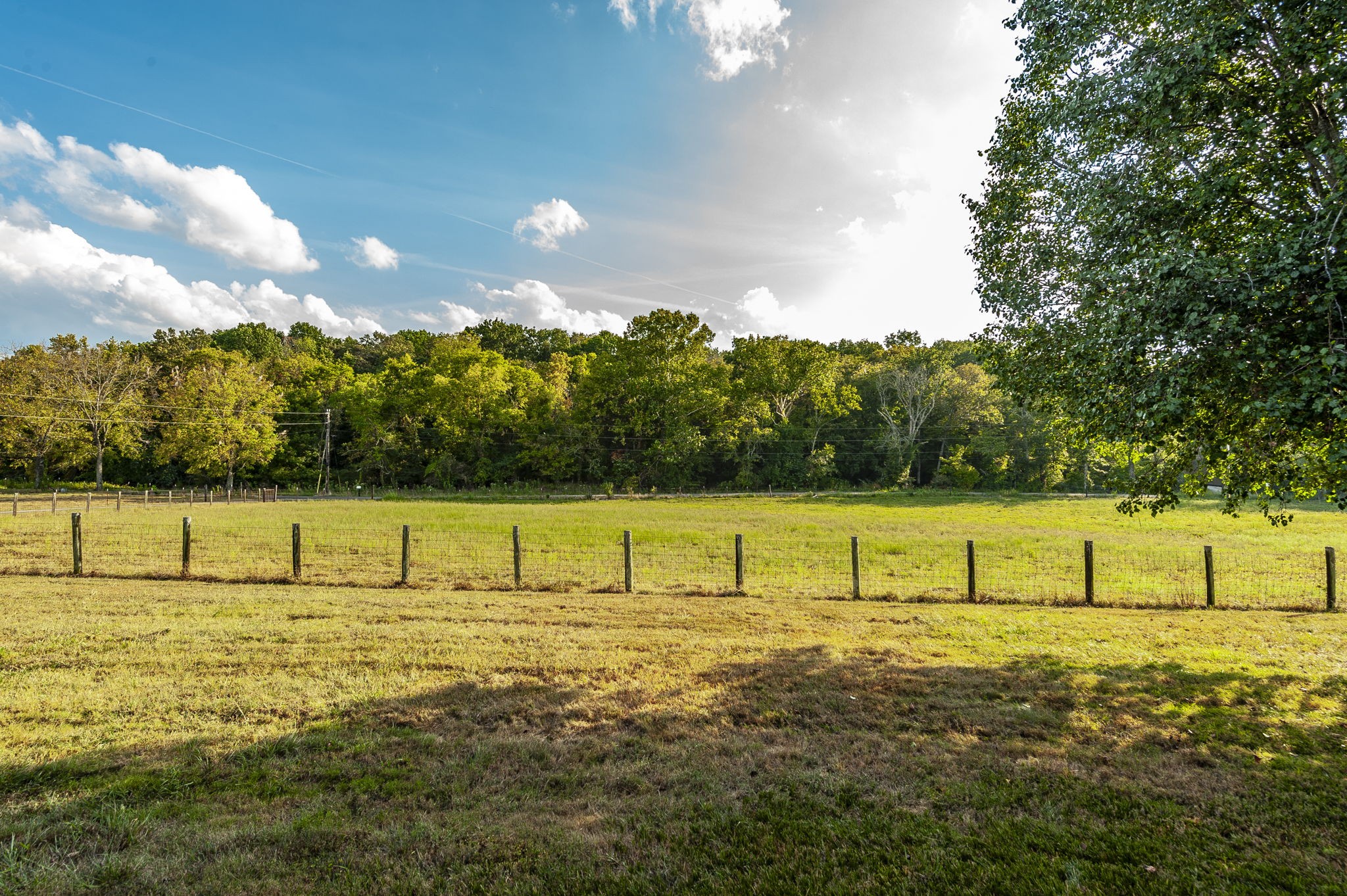 724 Deshea Creek Road Gallatin, TN 37066 - Photo 9 of 76