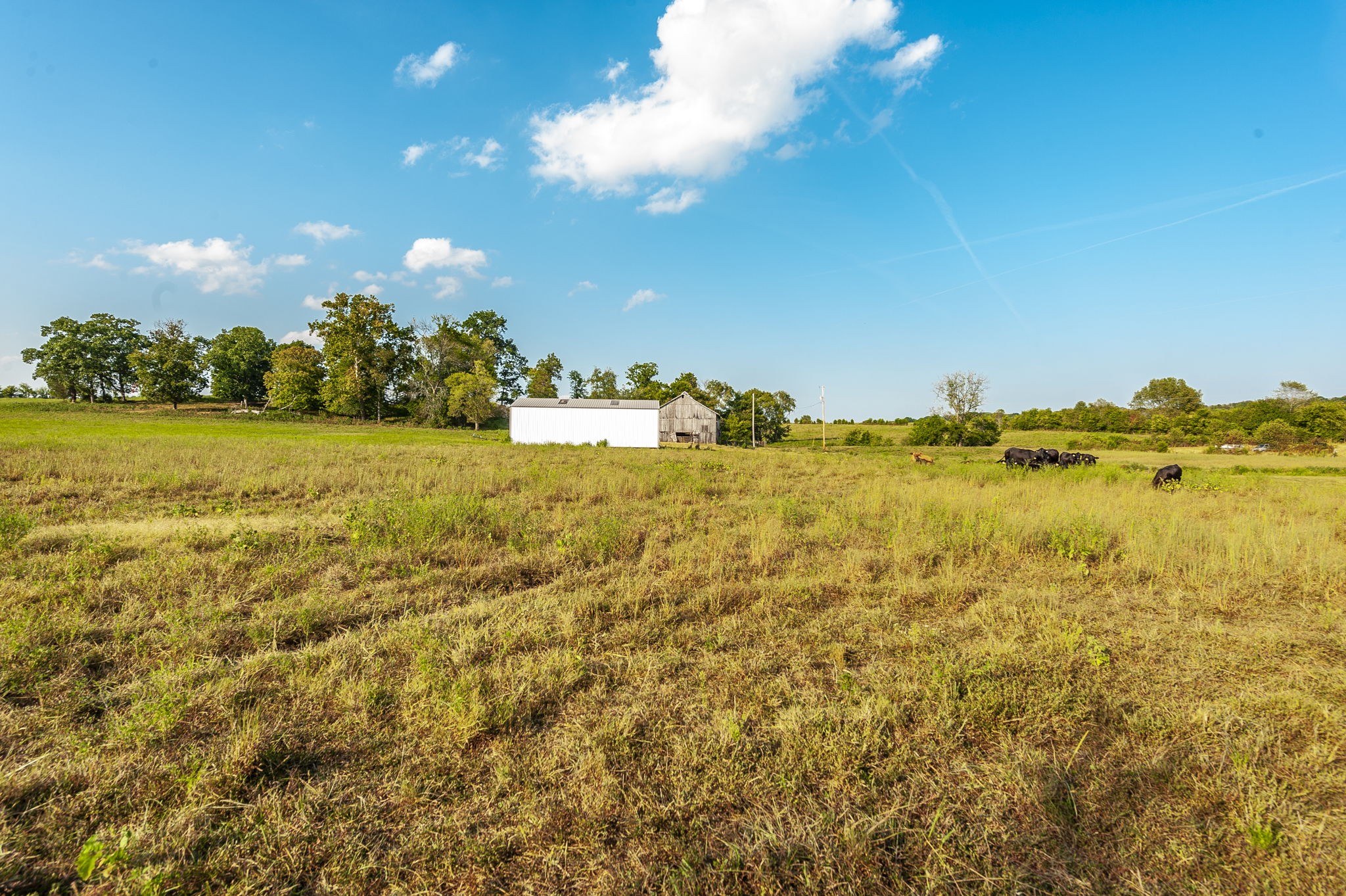 724 Deshea Creek Road Gallatin, TN 37066 - Photo 10 of 76 a view of an ocean from a yard