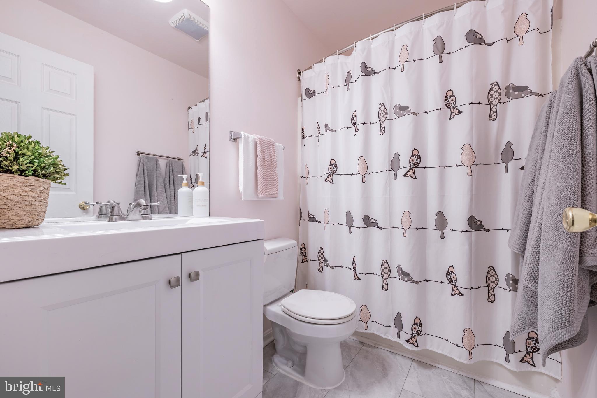 10570 Cogar Road Chestertown, MD 21620 - Photo 33 of 56 First Floor Bathroom