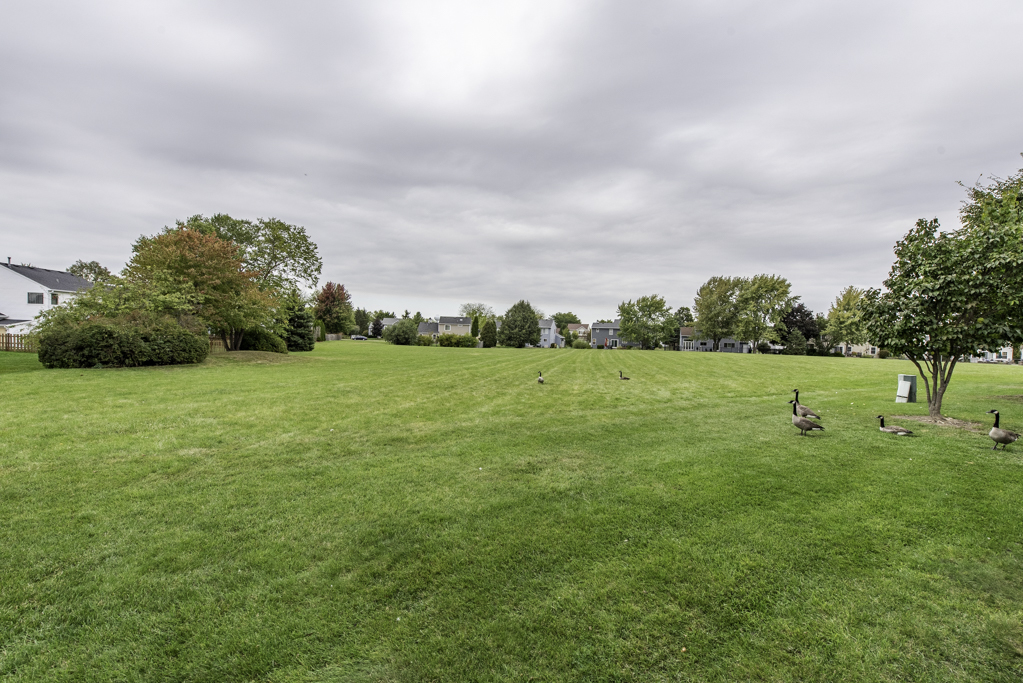 17876 Braewick Road Gurnee, IL 60031 - Photo 26 of 28 a view of a golf course with a garden