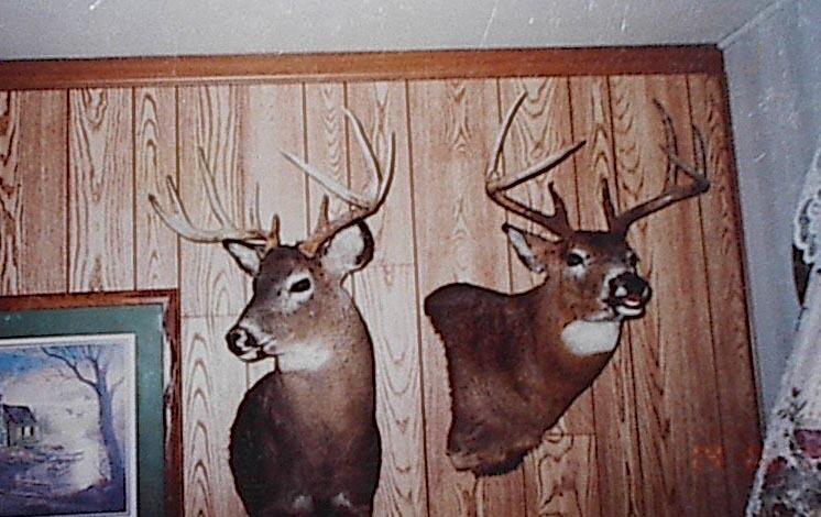 Cty Cty Shawano Line Rd Green Valley Sturgeon Bay, WI 54235 - Photo 6 of 11 hot_standbucks