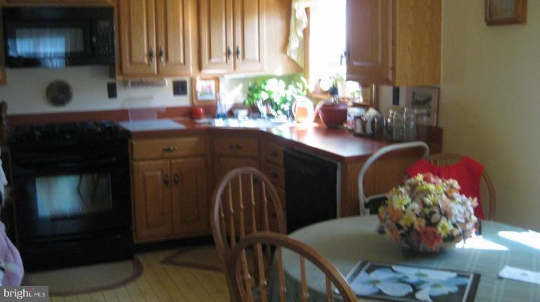 3109 Weller Road Silver Spring, MD 20906 - Photo 4 of 20 a kitchen with a table and a potted plant