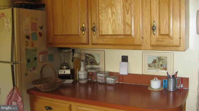 3109 Weller Road Silver Spring, MD 20906 - Photo 5 of 20 a dining table with wooden floor and potted plant