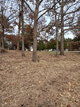 $239,900 | 45 Ripley Co 142 E-20, Doniphan, MO 63935