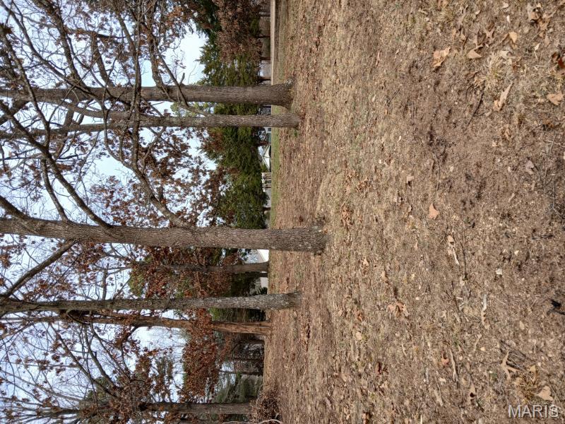 45 Ripley Co 142 E-20 Doniphan, MO 63935 - Photo 39 of 55