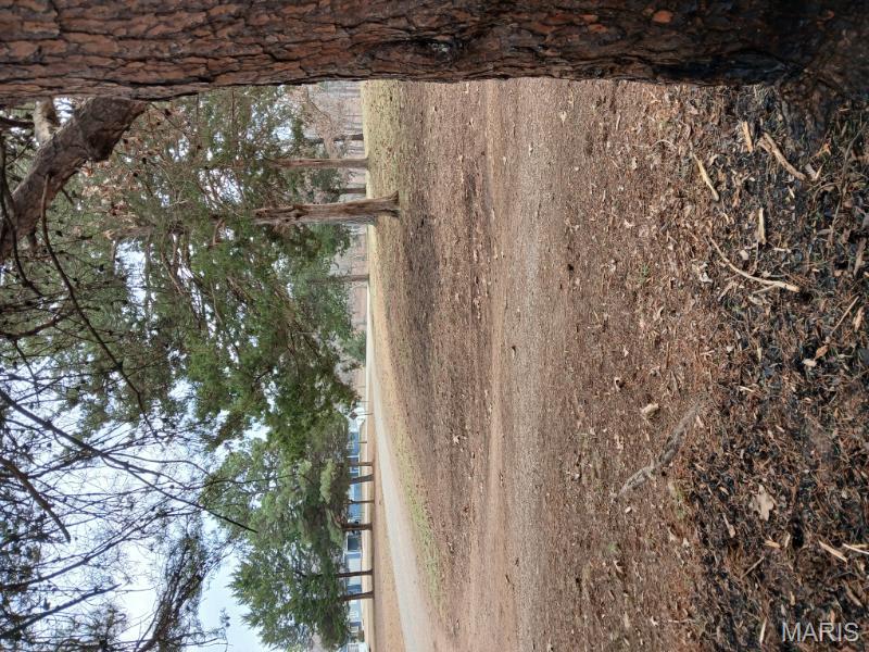 45 Ripley Co 142 E-20 Doniphan, MO 63935 - Photo 42 of 55