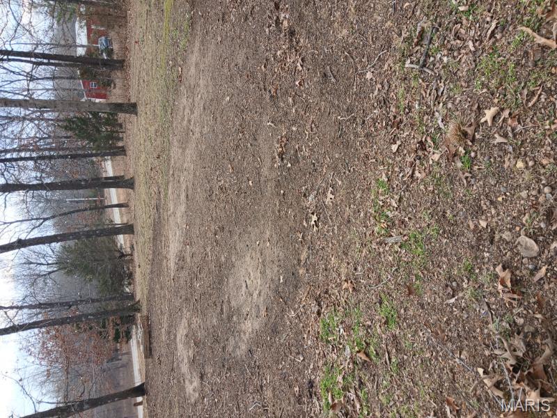 45 Ripley Co 142 E-20 Doniphan, MO 63935 - Photo 43 of 55