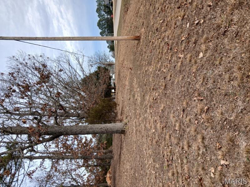 45 Ripley Co 142 E-20 Doniphan, MO 63935 - Photo 44 of 51