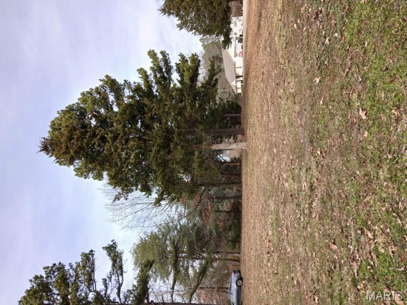 45 Ripley Co 142 E-20 Doniphan, MO 63935 - Photo 46 of 51