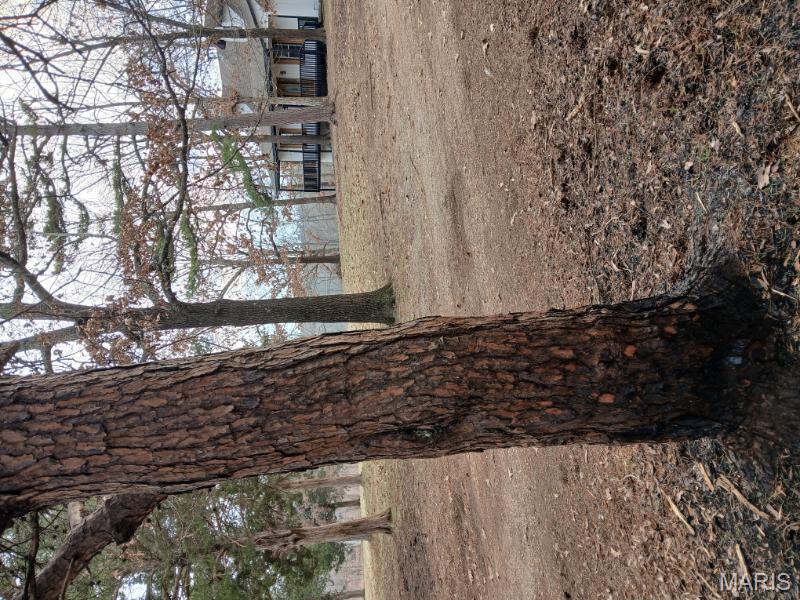 45 Ripley Co 142 E-20 Doniphan, MO 63935 - Photo 50 of 51