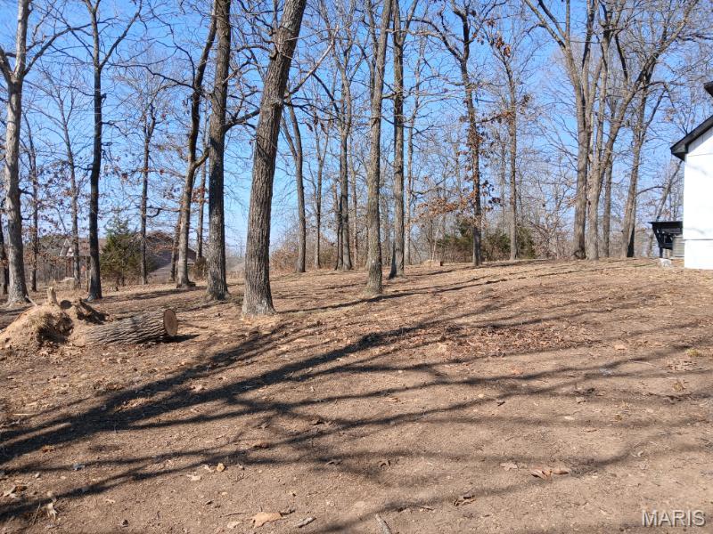 45 Ripley Co 142 E-20 Doniphan, MO 63935 - Photo 6 of 55