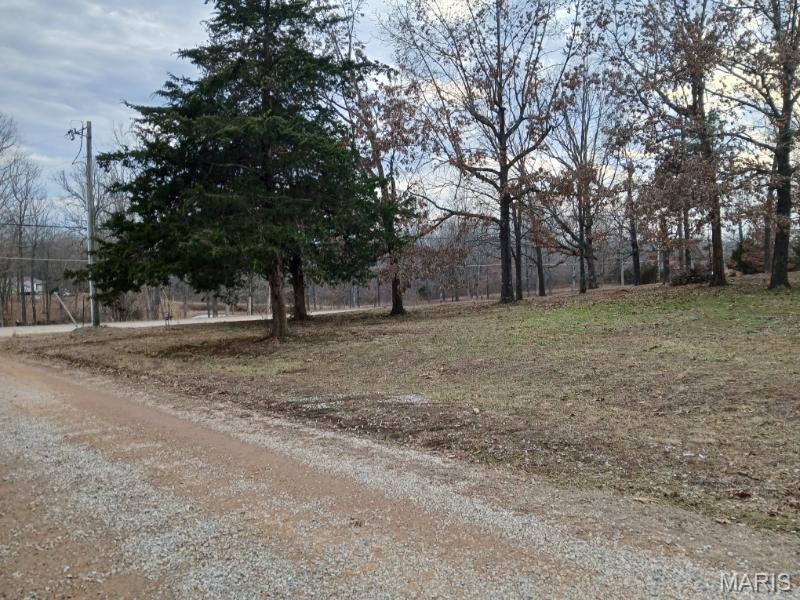 45 Ripley Co 142 E-20 Doniphan, MO 63935 - Photo 10 of 55