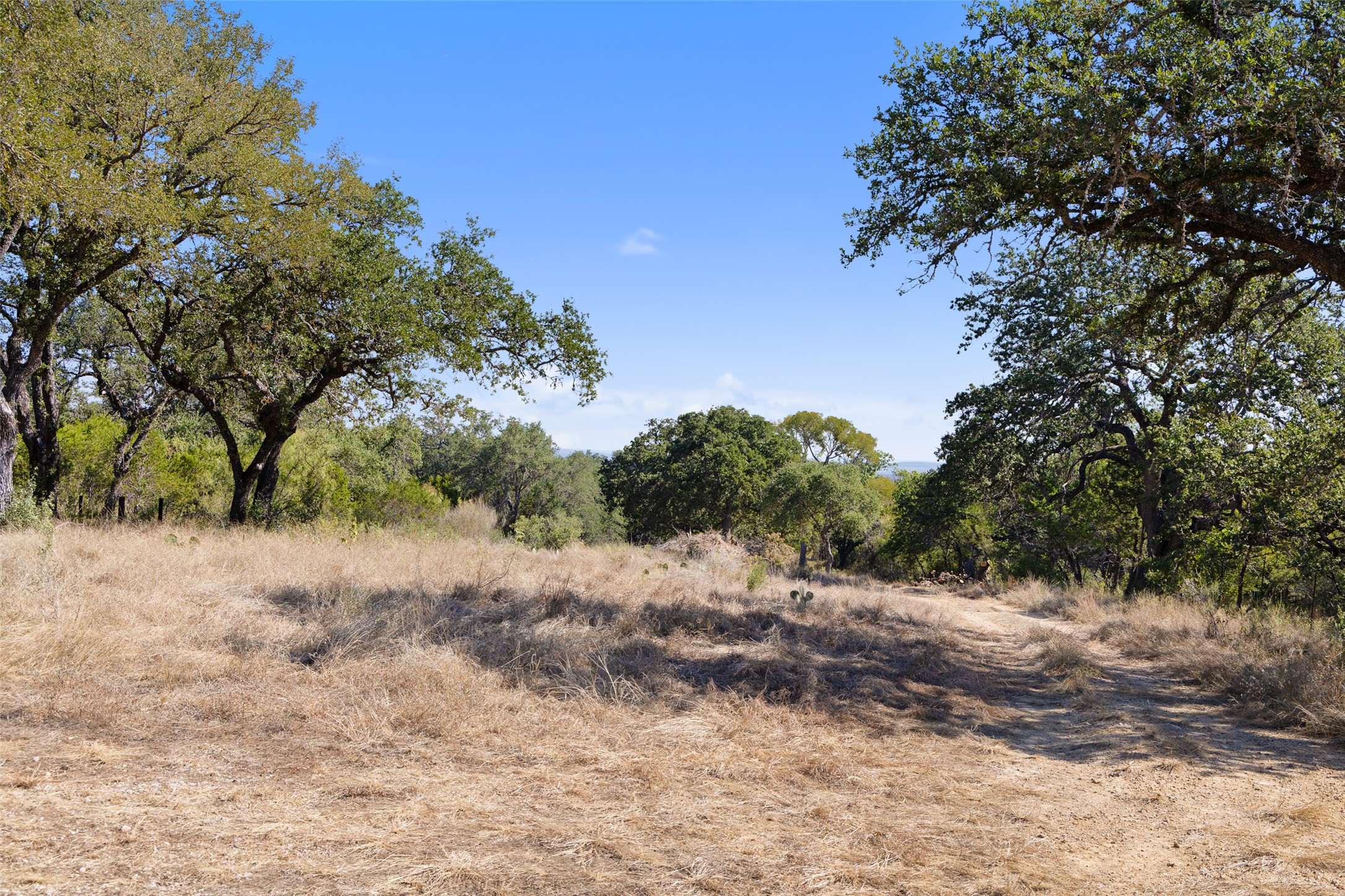 1301 Rm 2147 Marble Falls Marble Falls, TX 78654 - Photo 13 of 14 View of tree filled area