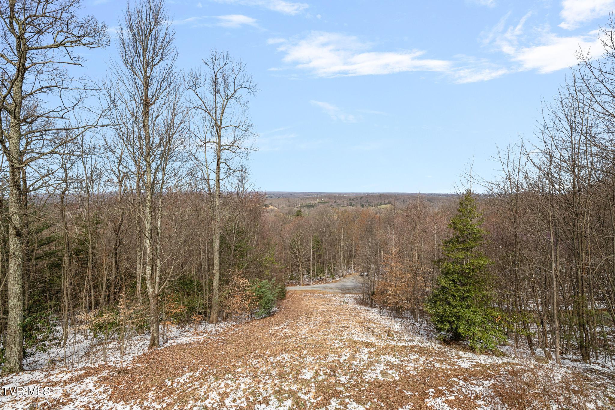435 Cherokee Mountain Road Jonesborough, TN 37659 - Photo 24 of 75 View from back deck
