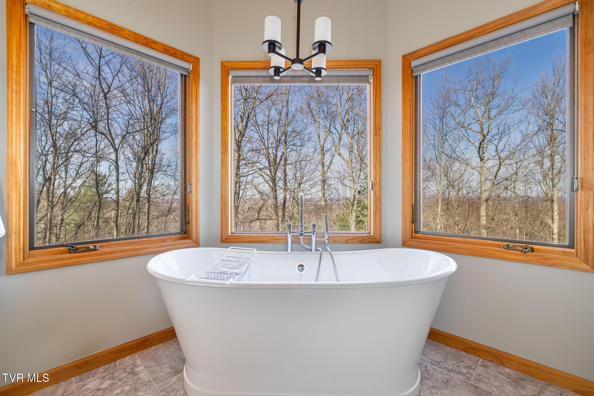 435 Cherokee Mountain Road Jonesborough, TN 37659 - Photo 28 of 75 Primary bathroom with soaking tub