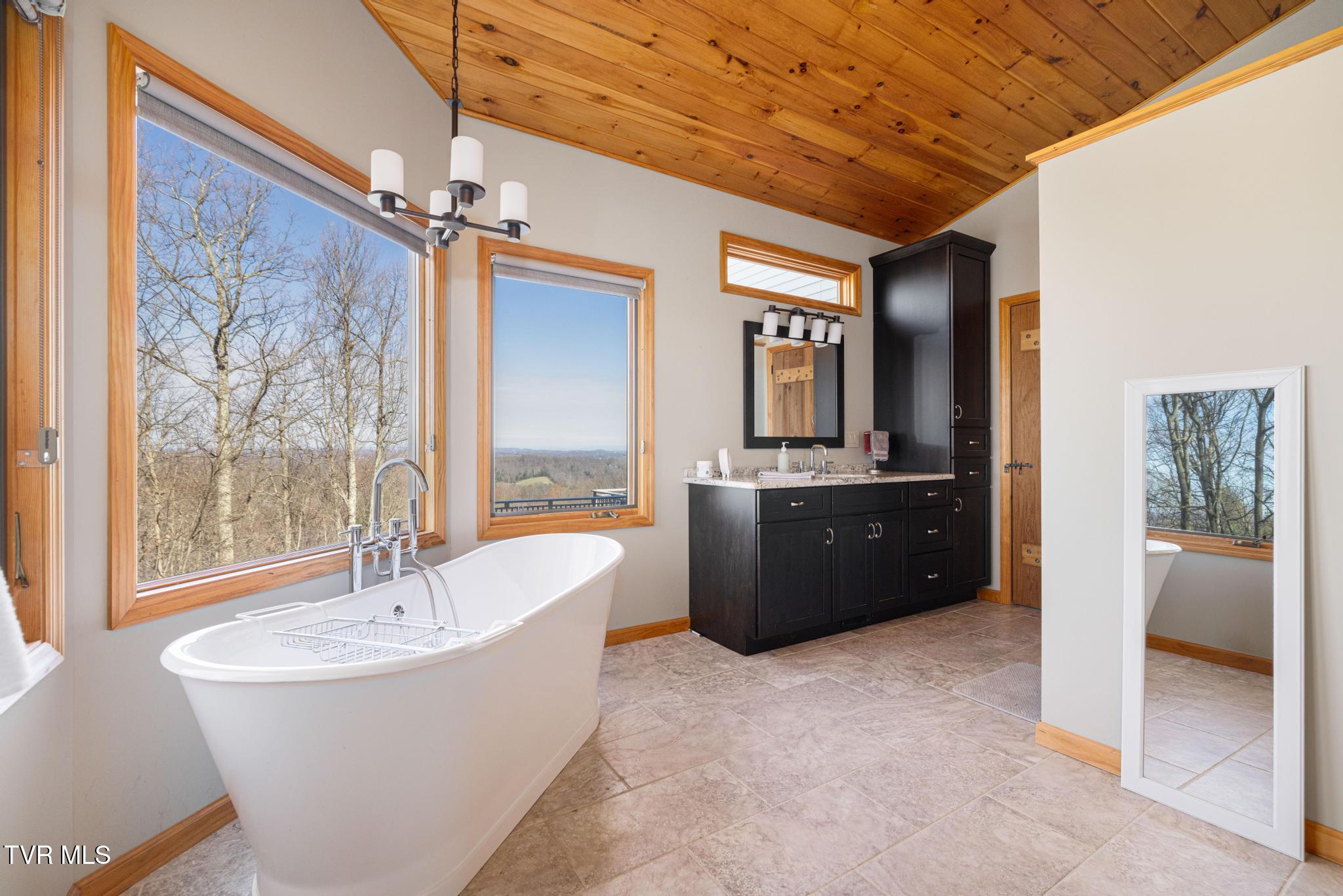 435 Cherokee Mountain Road Jonesborough, TN 37659 - Photo 30 of 75 Primary bathroom