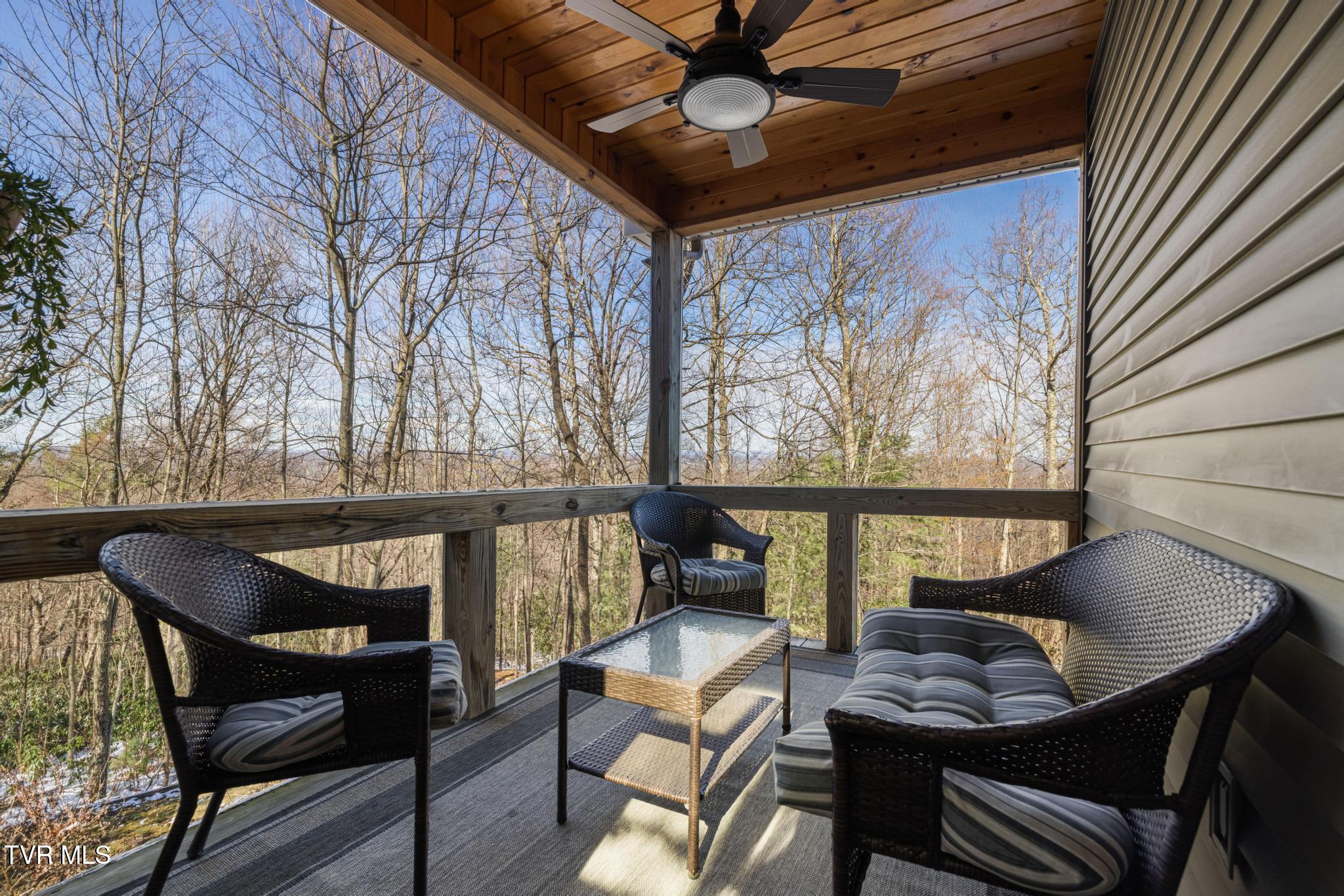435 Cherokee Mountain Road Jonesborough, TN 37659 - Photo 35 of 75 Private deck