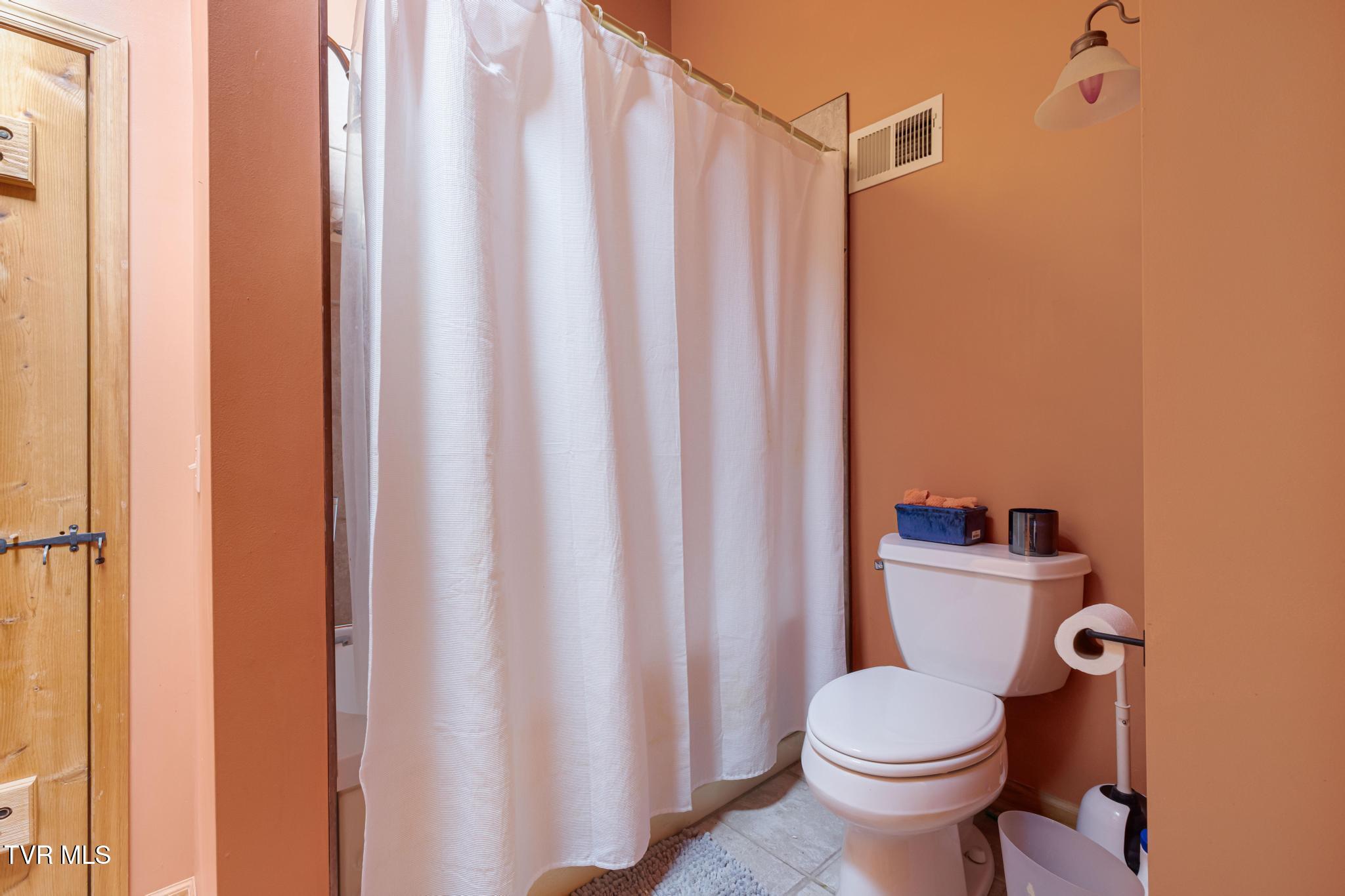 435 Cherokee Mountain Road Jonesborough, TN 37659 - Photo 54 of 75 Upstairs full bathroom