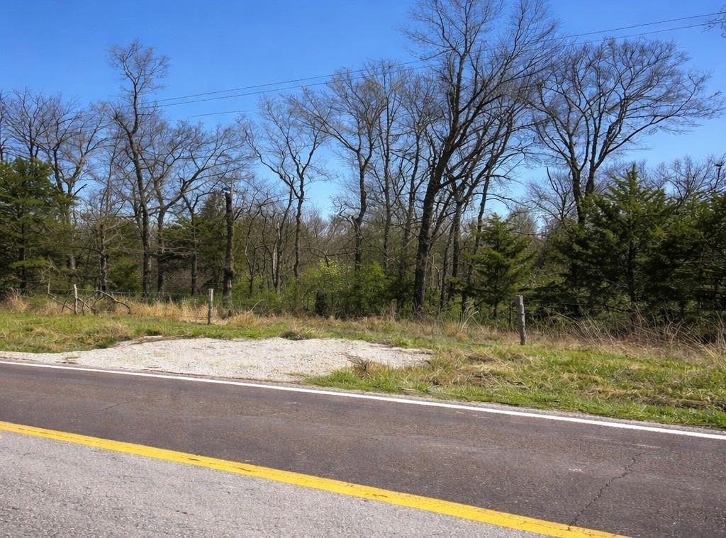 East Hwy Hwy Green Ridge Sedalia, MO 65301 - Photo 3 of 3