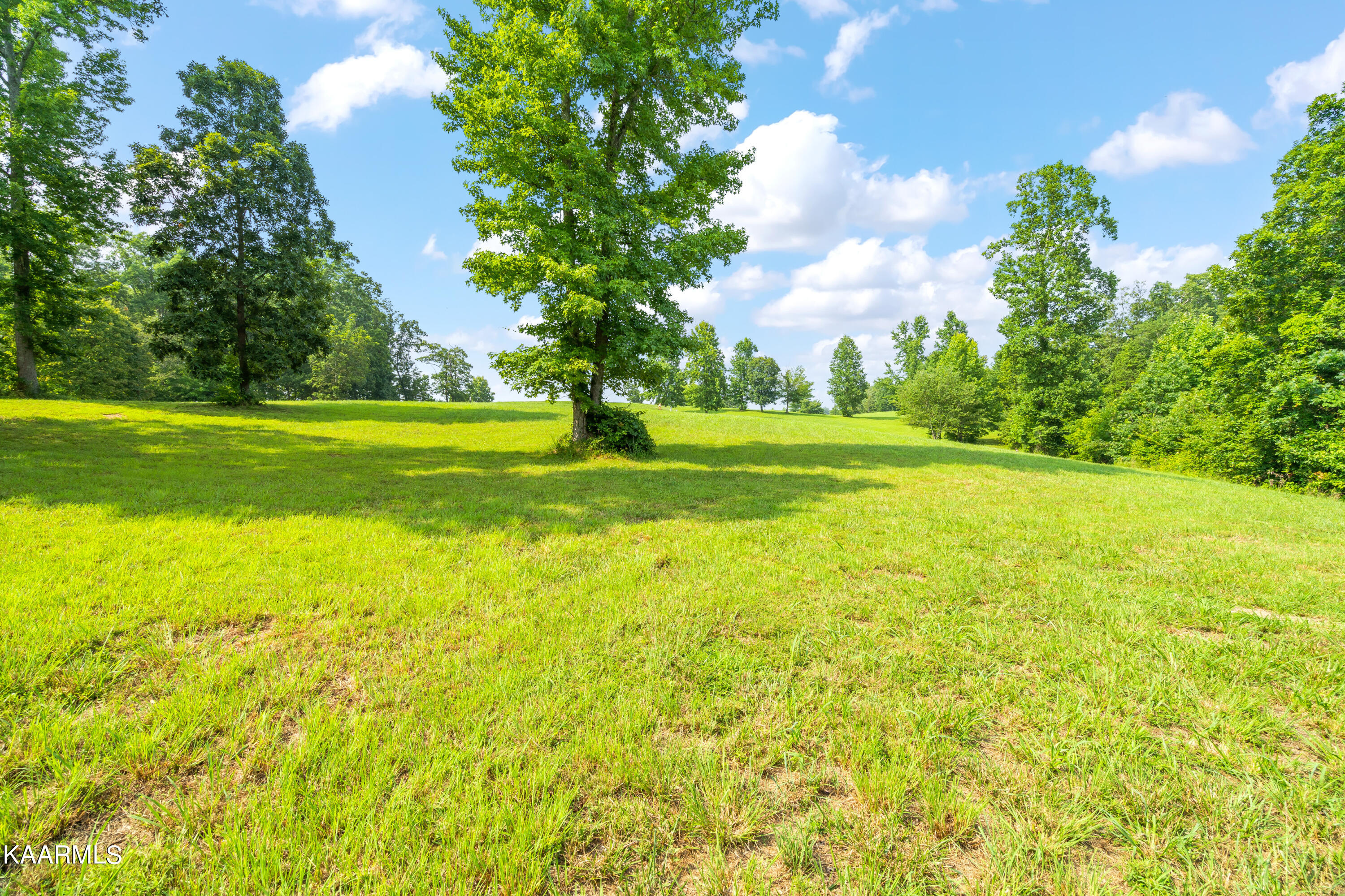 475 Rivermyst Dr Spring Spring City, TN 37381 - Photo 6 of 33 475 Rivermyst Dr-6
