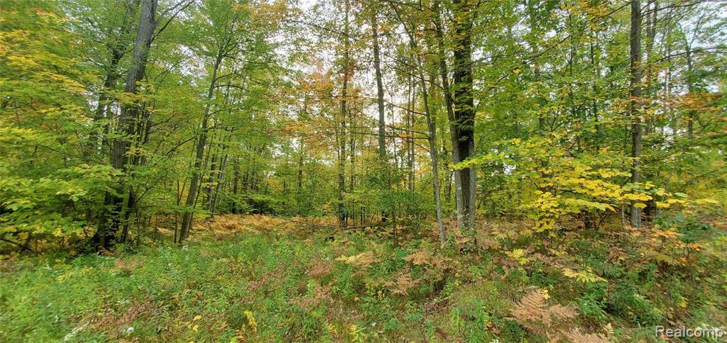 0 East Mannsiding Road Harrison, MI 48625 - Photo 3 of 9