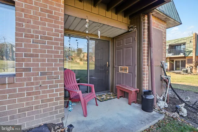 a view of a park with large trees