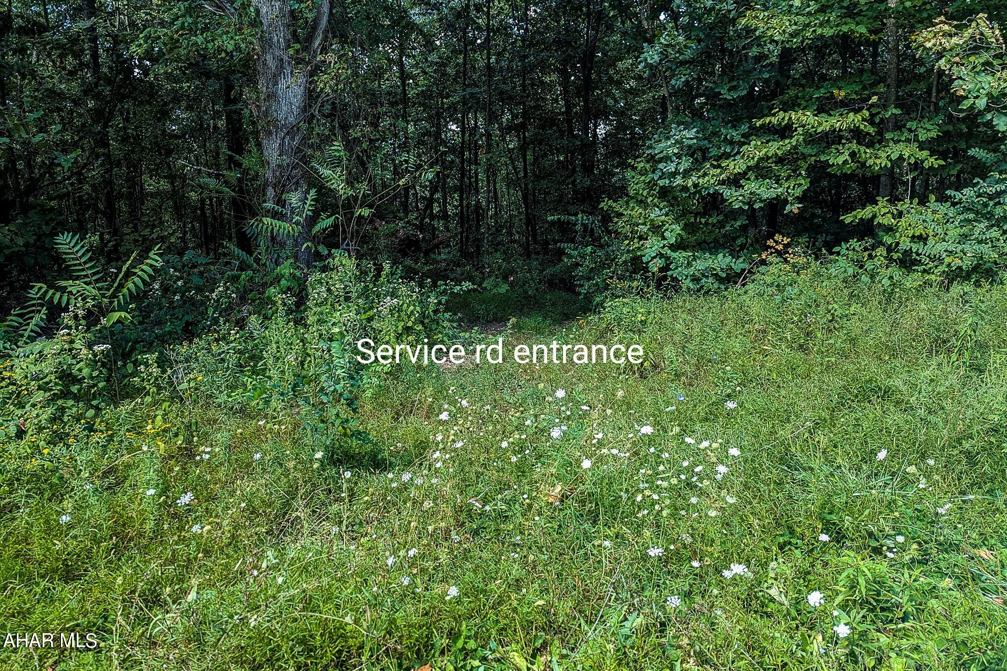 Off Addison Ridge Road Clearville, PA 15535 - Photo 3 of 18