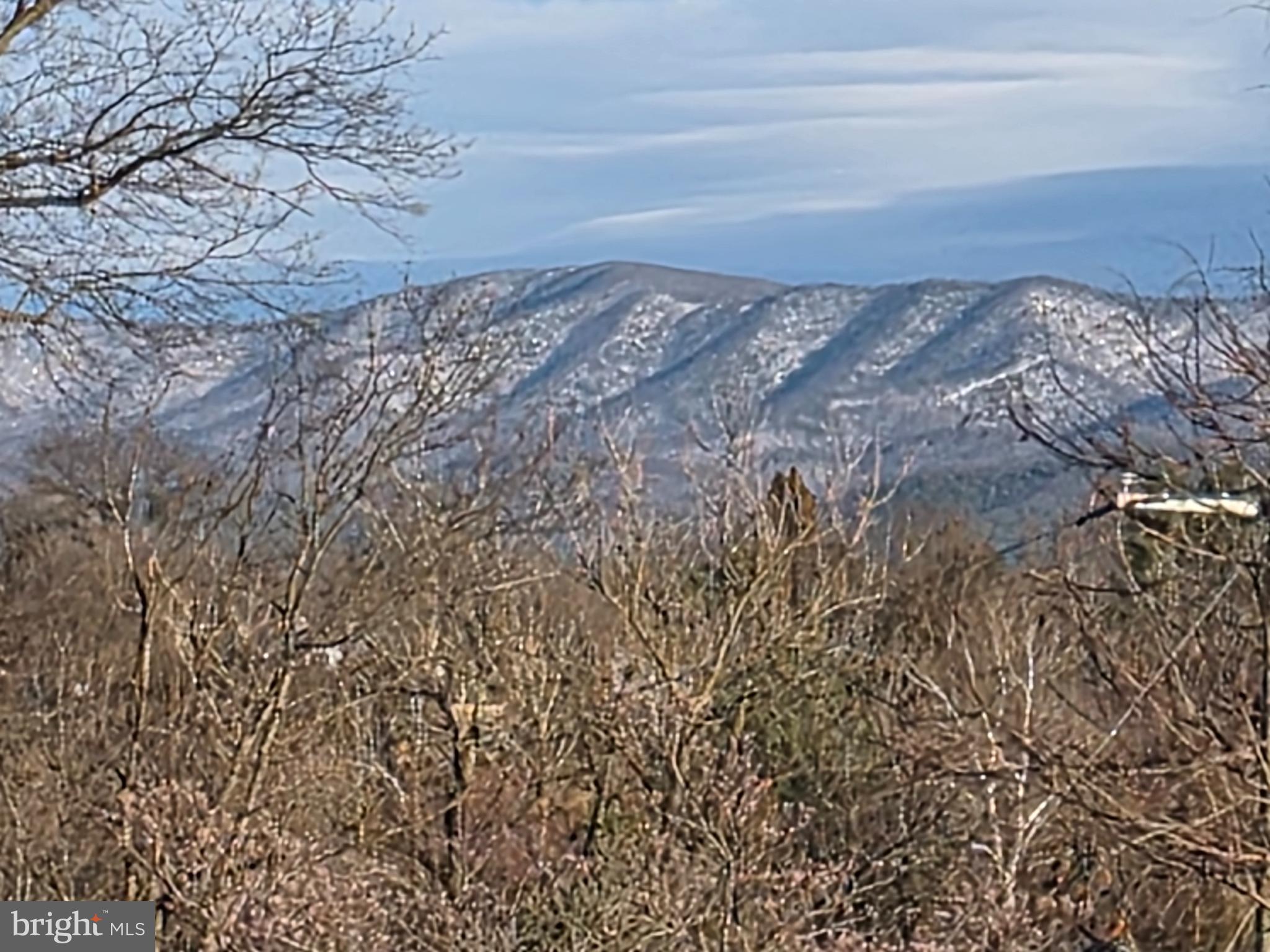 175 South Court Street Luray, VA 22835 - Photo 33 of 43 close up of winter views